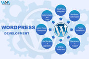 Top WordPress Website Development Company in Maryland